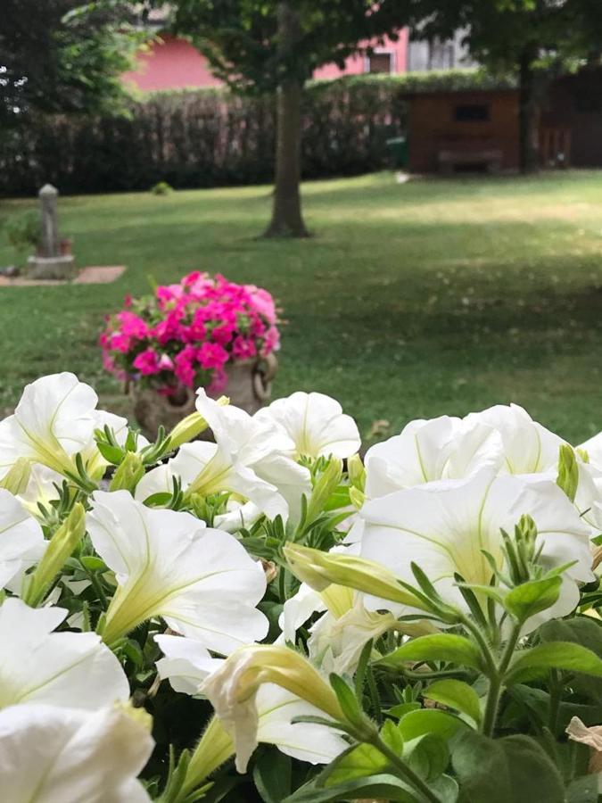 Gina & Jeto Villa Farra di Soligo Kültér fotó