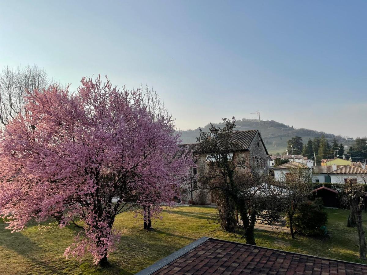 Gina & Jeto Villa Farra di Soligo Kültér fotó